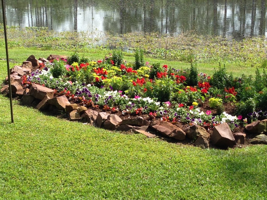 color and flowers 17